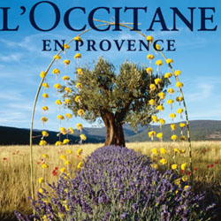 L'Occitane en Provence, Entreprise singulière de l'Economie Créative